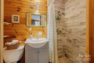 250 Burt Blackwell Road, Mill Spring, NC 28756 - Photo 39