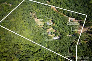 250 Burt Blackwell Rd, Mill Spring, NC 28756 - Photo 47