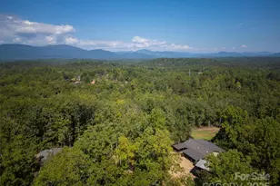 250 Burt Blackwell Rd, Mill Spring, NC 28756 - Photo 43