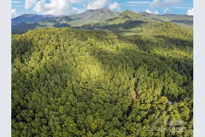 000 Crackin Chestnut Lane, Sylva, NC 28779 - Photo 3
