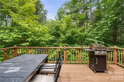 110 Gunter Town Road, Marshall, NC 28753 - Photo 31