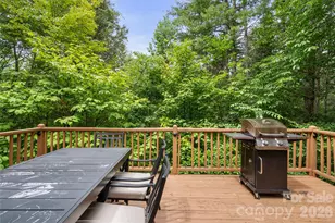 110 Gunter Town Rd, Marshall, NC 28753 - Photo 31