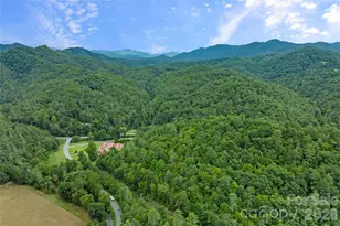 110 Gunter Town Rd, Marshall, NC 28753 - Photo 43