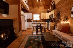 110 Gunter Town Rd, Marshall, NC 28753 - Photo 13