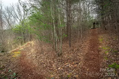 Tbd Hunting Lodge Drive #9, Black Mountain, NC 28711 - Photo 5