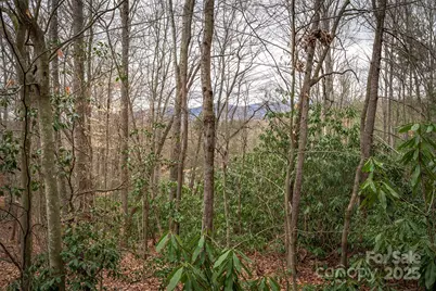 Tbd Hunting Lodge Drive #9, Black Mountain, NC 28711 - Photo 9