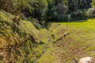 144 Cherry St, Sylva, NC 28779 - Photo 47