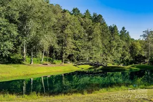 65 Sky Vista Ln, Hendersonville, NC 28792 - Photo 47