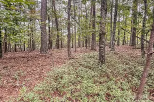 253 Nors Way, Lake Lure, NC 28746 - Photo 29