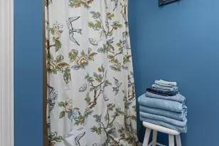 210 Ballard Rd, Brevard, NC 28712 - Photo 33