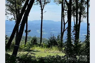 462 E Garden Trail #37, Hendersonville, NC 28792 - Photo 1