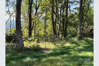 462 E Garden Trail #37, Hendersonville, NC 28792 - Photo 5