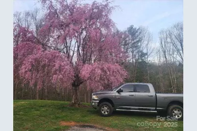 98 Cardinal Lane, Burnsville, NC 28714 - Photo 29