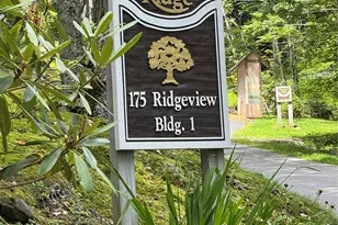 175 Ridgeview Rd, Sugar Mountain, NC 28604 - Photo 21