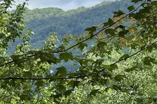 175 Ridgeview Rd, Sugar Mountain, NC 28604 - Photo 3