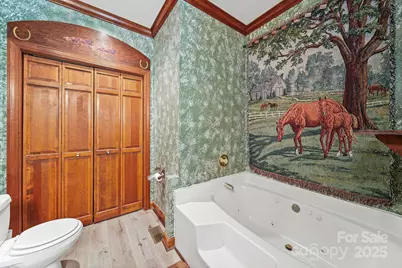 6298 Nc 742 South S, Wadesboro, NC 28170 - Photo 23