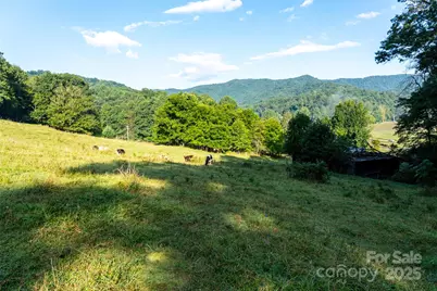 44 Jenkins Road, Waynesville, NC 28785 - Photo 11