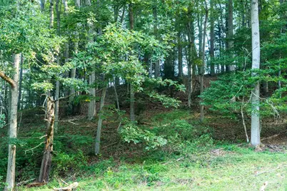 44 Jenkins Road, Waynesville, NC 28785 - Photo 25