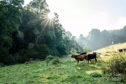 44 Jenkins Road, Waynesville, NC 28785 - Photo 9