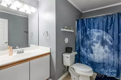 72 Edge Water Lane, Mills River, NC 28759 - Photo 27