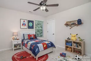 1528 Spring Blossom Trail, Fort Mill, SC 29708 - Photo 23