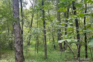 3485 Cedar Circle Rd, Lancaster, SC 29720 - Photo 11