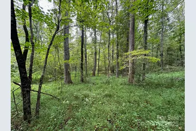 3485 Cedar Circle Road, Lancaster, SC 29720 - Photo 7