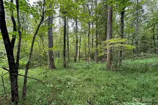 3485 Cedar Circle Rd, Lancaster, SC 29720 - Photo 7