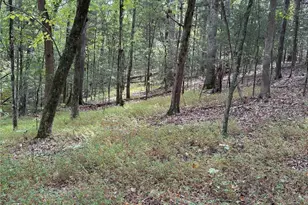 3485 Cedar Circle Rd, Lancaster, SC 29720 - Photo 31