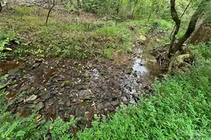 3485 Cedar Circle Rd, Lancaster, SC 29720 - Photo 9