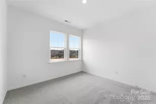 8672 Miles Gap Rd, Indian Land, SC 29707 - Photo 9