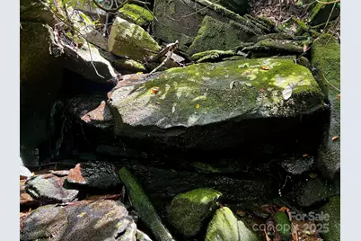 Lot 11 Silver Maple Trail, Brevard, NC 28712 - Photo 9