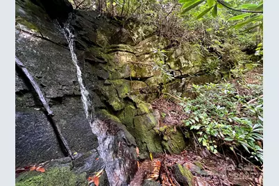 Lot 11 Silver Maple Trail, Brevard, NC 28712 - Photo 3