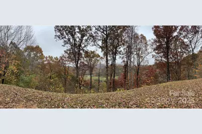 97 Junebug Trail, Waynesville, NC 28785 - Photo 15