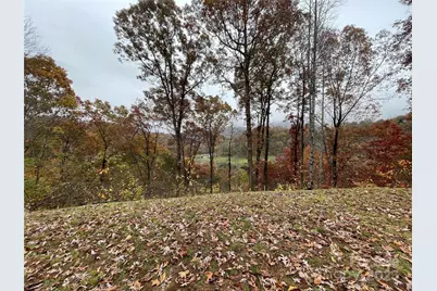 97 Junebug Trail, Waynesville, NC 28785 - Photo 1