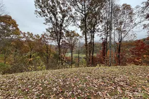 97 Junebug Trail, Waynesville, NC 28785 - Photo 1