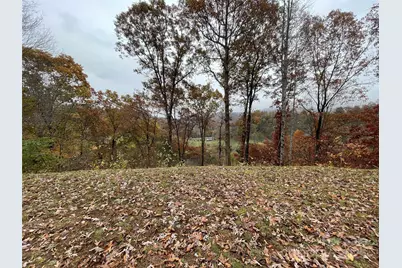 97 Junebug Trail, Waynesville, NC 28785 - Photo 7