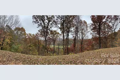 97 Junebug Trail, Waynesville, NC 28785 - Photo 15