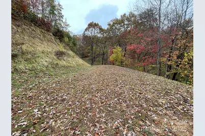 97 Junebug Trail, Waynesville, NC 28785 - Photo 3