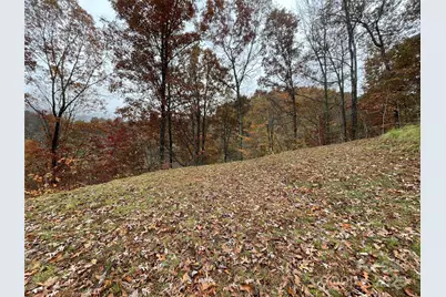 97 Junebug Trail, Waynesville, NC 28785 - Photo 5