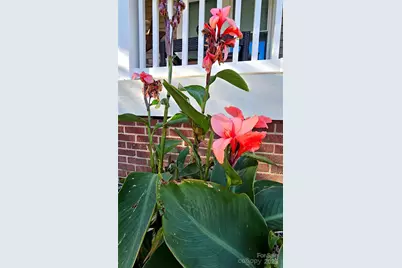 218 Wilson Street #A&B, Albemarle, NC 28001 - Photo 15