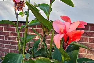 218 Wilson St, Albemarle, NC 28001 - Photo 17