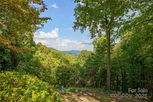 531 Nottingham Rd, Maggie Valley, NC 28751 - Photo 41