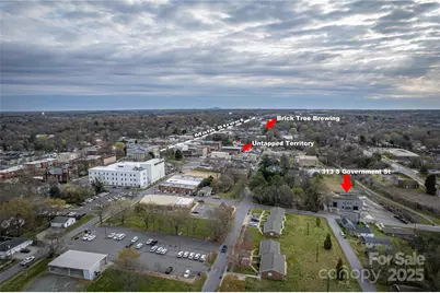 313 Government Street, Lincolnton, NC 28092 - Photo 37