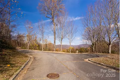 33 Grovepoint Way, Asheville, NC 28804 - Photo 5
