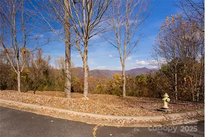 33 Grovepoint Way, Asheville, NC 28804 - Photo 3