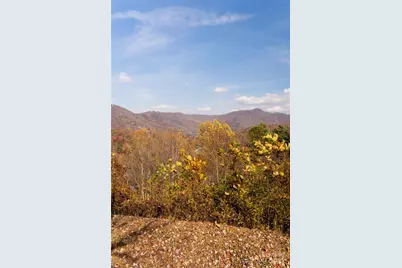 33 Grovepoint Way, Asheville, NC 28804 - Photo 27