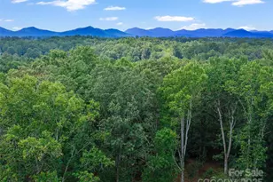 631 Macedonia Rd, Asheville, NC 28804 - Photo 41