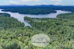 4064 Dense Acre Trail, Nebo, NC 28761 - Photo 41