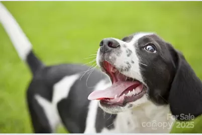 1410 Samuel Street, Charlotte, NC 28206 - Photo 17